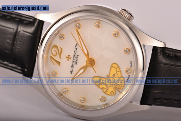 Best Replica Vacheron Constantin Metiers d'Art Watch Steel HPI00539 (YF)